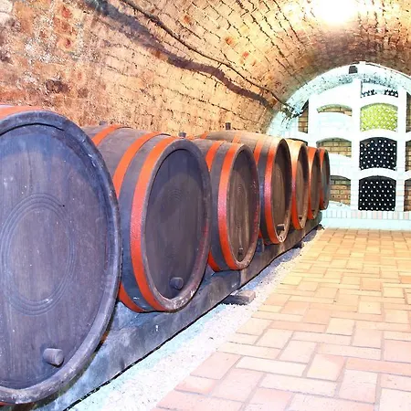 게스트하우스 Berger Pince Es Vendeghaz