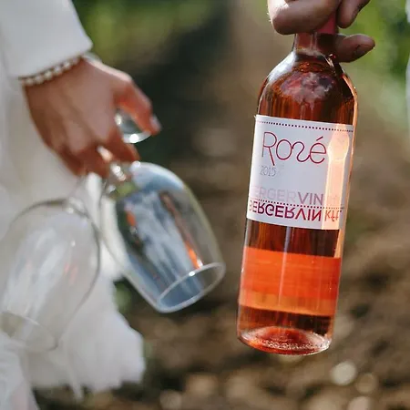 Berger Pince Es Vendeghaz *