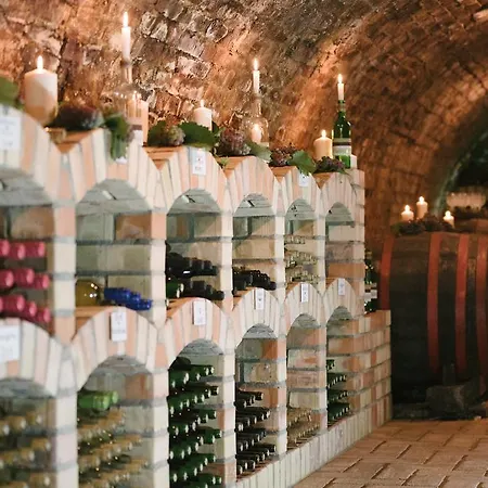 게스트하우스 Berger Pince Es Vendeghaz