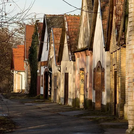 Berger Pince Es Vendeghaz 게스트하우스 Csaszartoltes