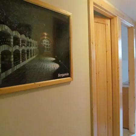 게스트하우스 Berger Pince Es Vendeghaz